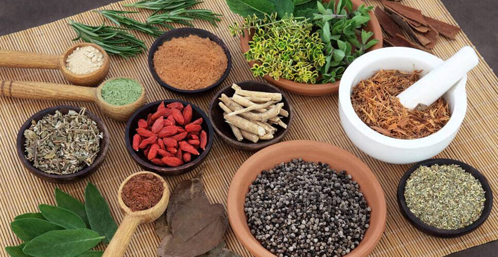 24989ayurveda-courses-at-the-centre-of-lokah-ayurveda.jpg