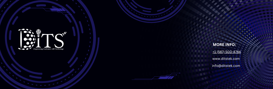 33115www.ditstek.com.png