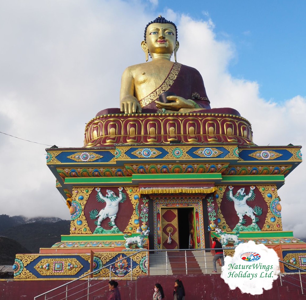 36002tawang-tour-from-naturewings.jpeg