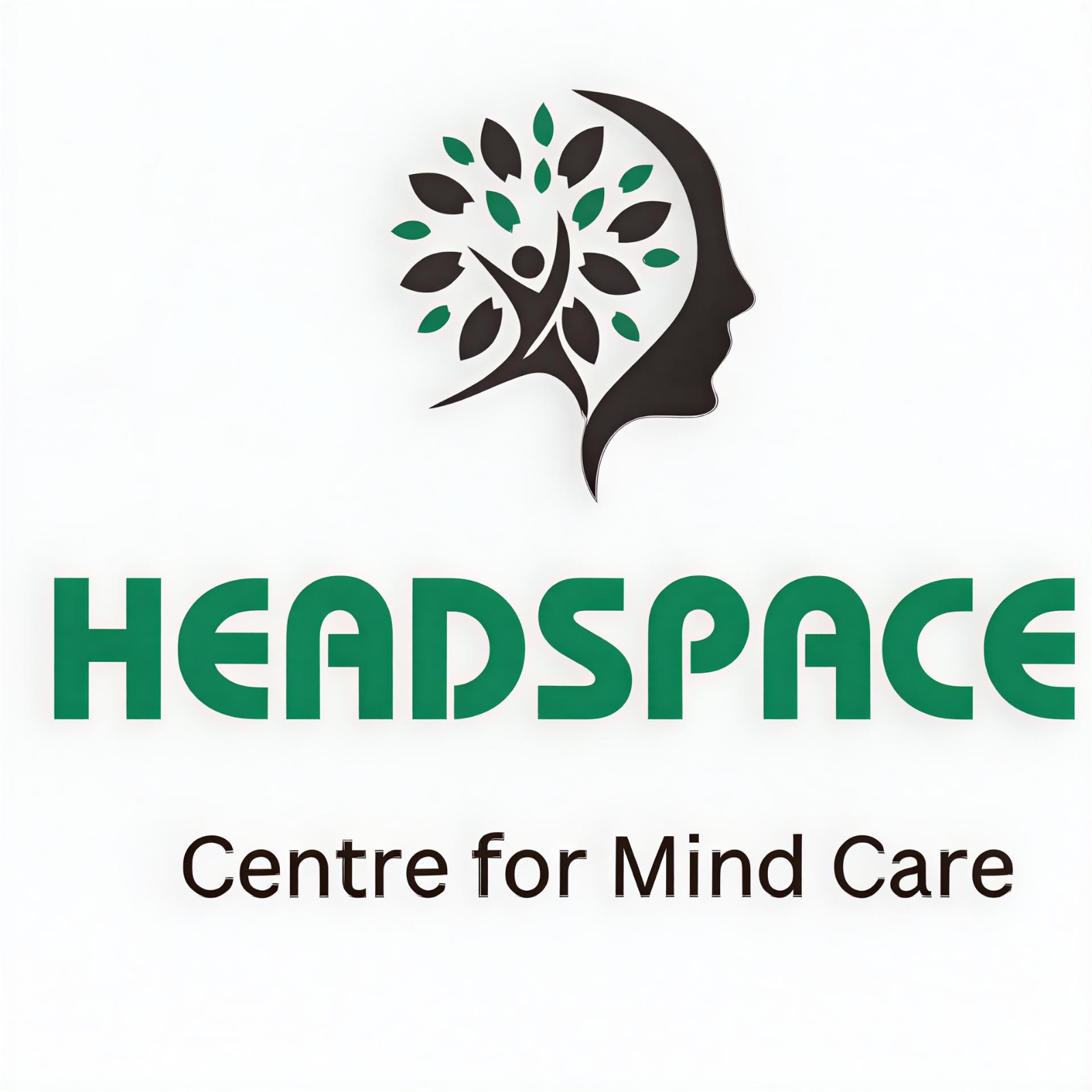 43480headspace.jpeg