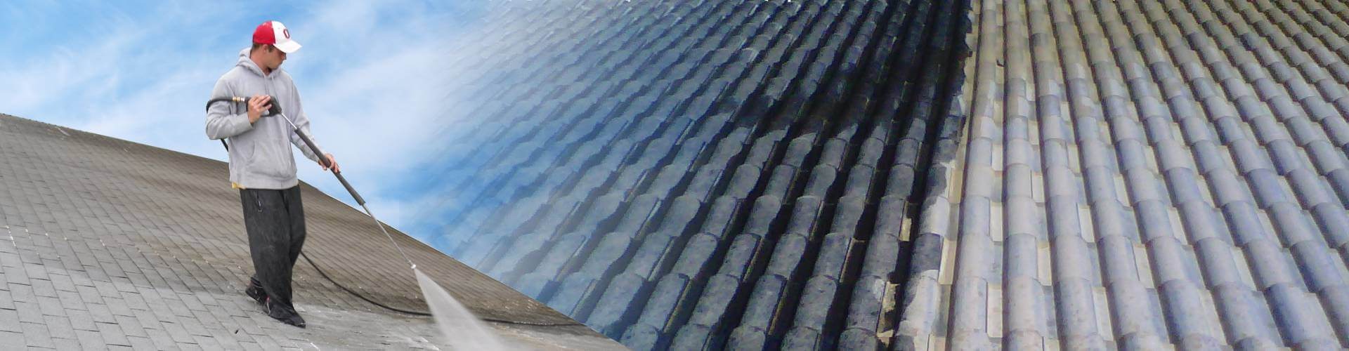 6028imgi_6_roofclean02.jpg