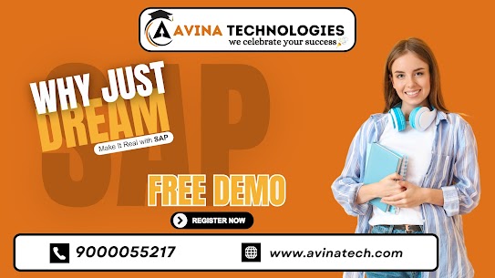 66053sap-mm-training-in-hyderabad.jpg